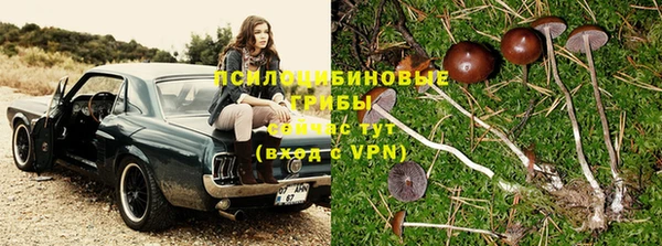 мдпв Горно-Алтайск