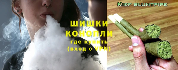прущие грибы Горняк