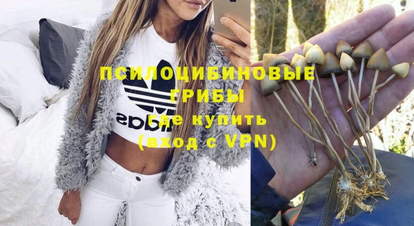 мдпв Горно-Алтайск