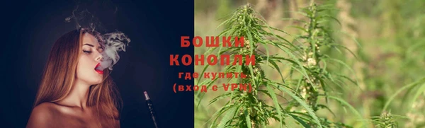 мдпв Горно-Алтайск