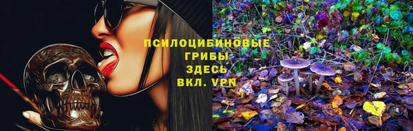 мдпв Горно-Алтайск