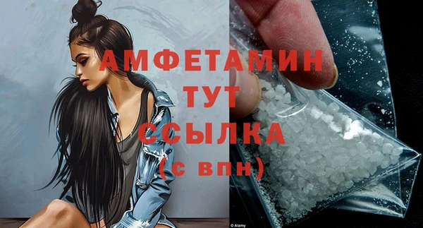 прущие грибы Горняк