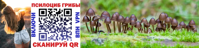 Псилоцибиновые грибы Psilocybe  Яранск 
